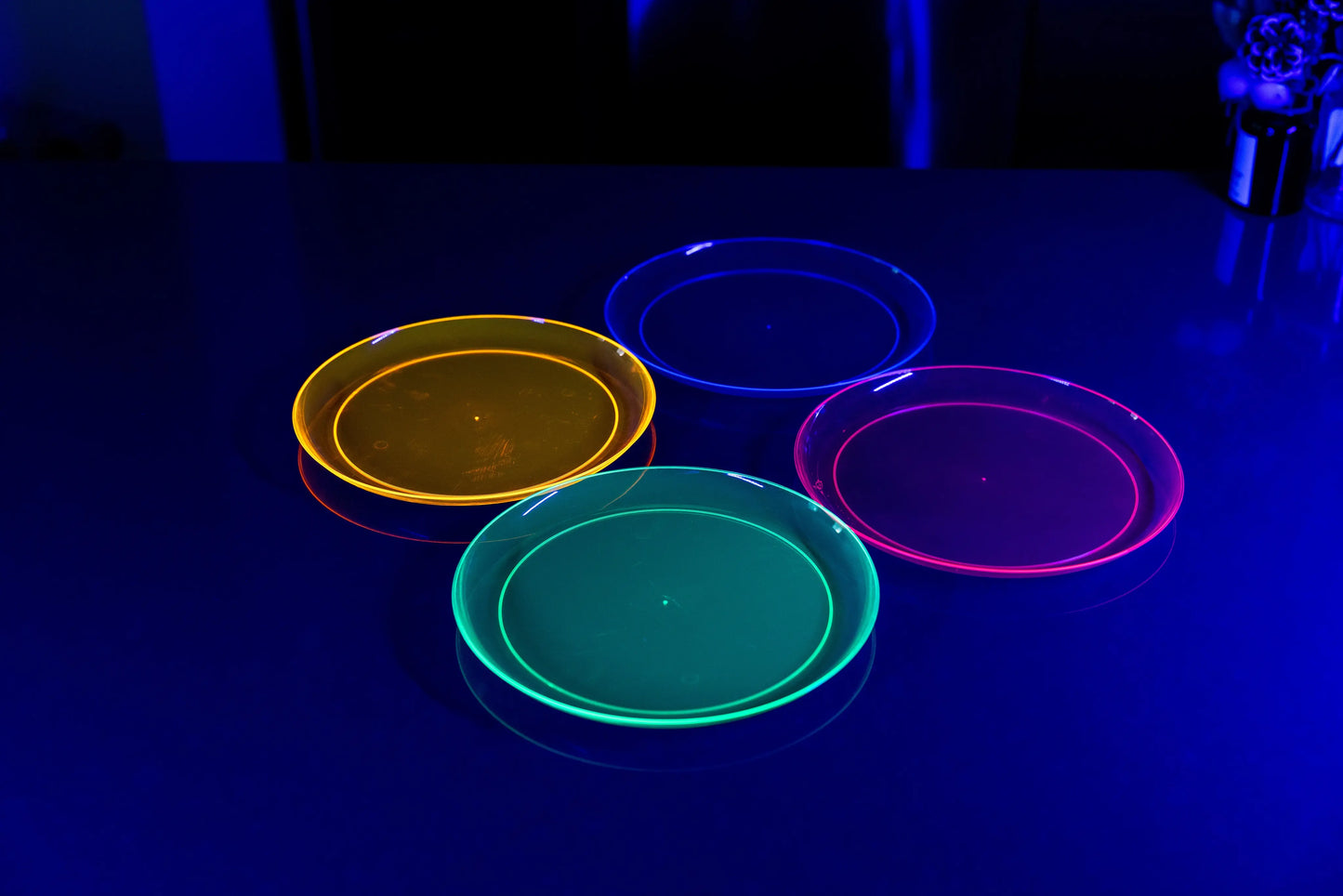 EDI Neon Plates - Full Case (6 Packs)
