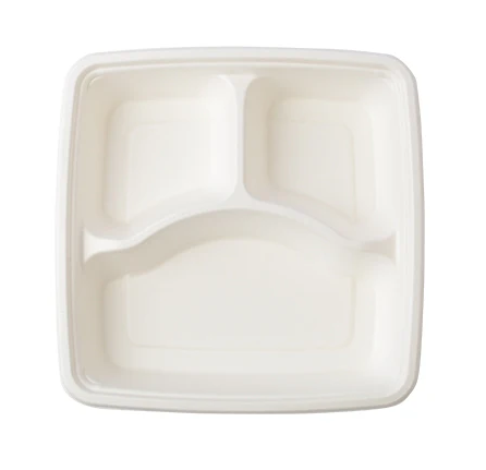 Bagasse Trays