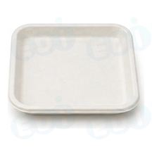 99-02965-10 WP - BAGASSE PLATE SQUARE 8'' (125/500)