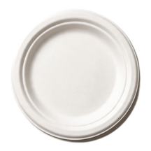 99-02957-10 Bagasse plate round 7″