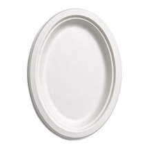 99-02963-10 WP - BLEACHED BAGASSE PLATE OVAL 12'' (125/500)